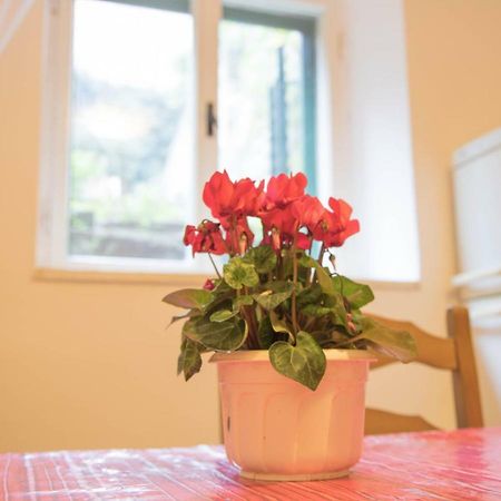 Apartman Juricic Labin  Zewnętrze zdjęcie